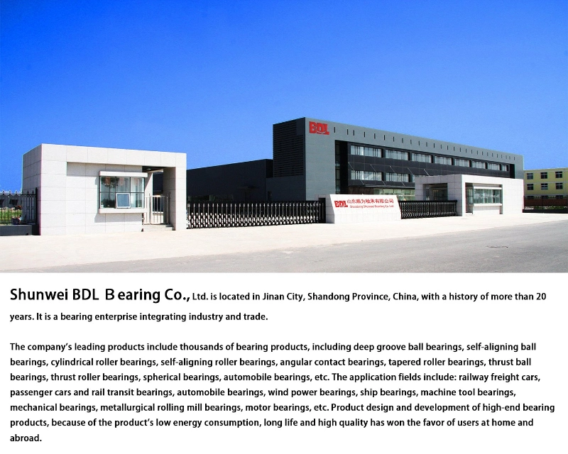 Bearings Manufacturing Auto Parts, Motorcycle Parts, Insulation Bearing, Pillow Block Bearing, Roller Bearing Ball Bearing